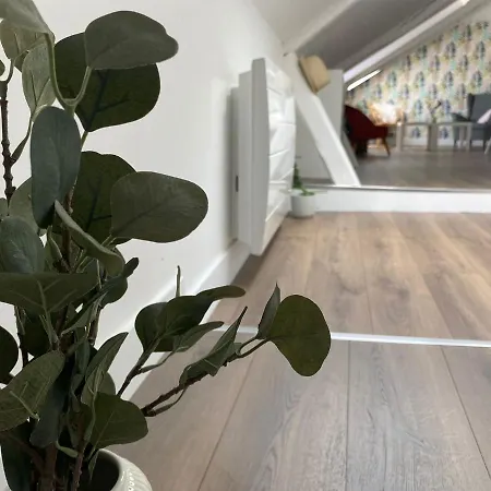L'appartement A Flower Is Born A - 246 Appartamento